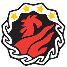 Organisationens profilbild - Suomen Palopäällystöliitto ry