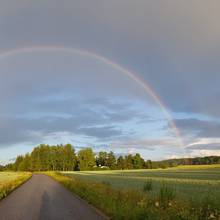 Organisationens profilbild - Ruskon kunta