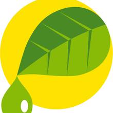 Organisationens profilbild - Suomen Terveystuotekauppiaiden Liitto ry