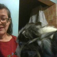 Organisationens profilbild - Aputiikki_Hjälputik