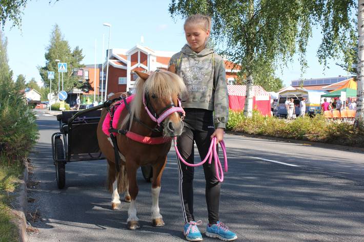 Muttimarkkinat, poni ja tyttö.