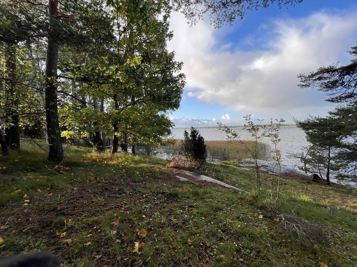 Näkymä tulevan rantaraitin suunnasta puiden lomasta merelle päin.