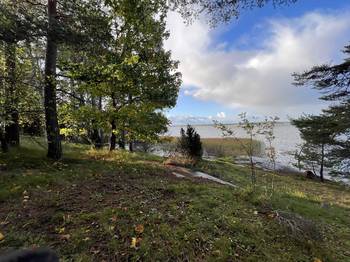 Näkymä tulevan rantaraitin suunnasta puiden lomasta merelle päin.