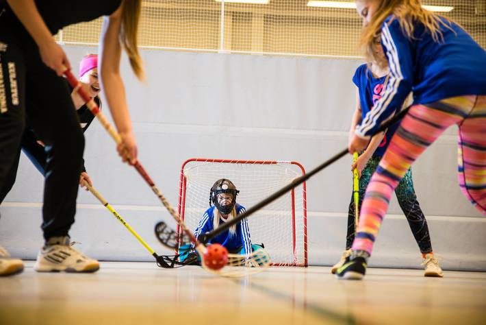 kuvassa näkyy taka-alalla salibändymaali ja nuori maalivahti. Etualalla neljän henkilön hahmot, jotka pitävät käsissään salibandymailaa. Yksi pelaajista on laukaisemassa pallon kohti maalia.