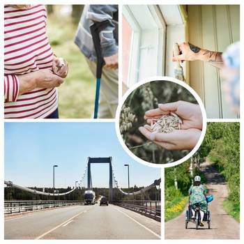 Huvudbild på projektet