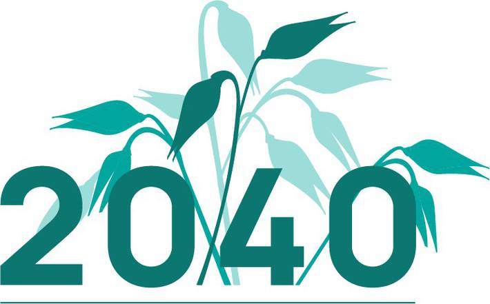 Huvudbild på projektet