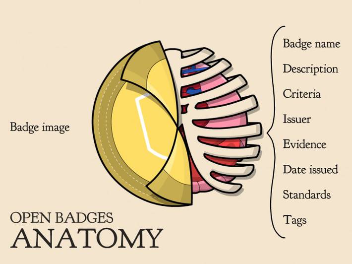 http://classhack.com/post/45364649211/open-badge-anatomy-updated