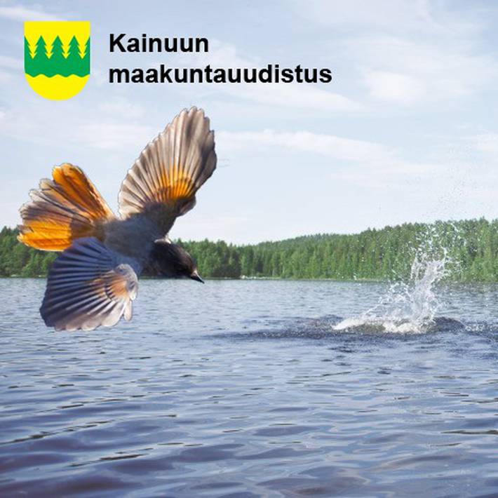 Kainuun sote- ja maakuntauudistus
