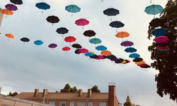 Huvudbild på projektet