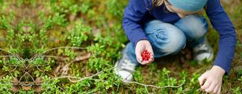 Huvudbild på projektet