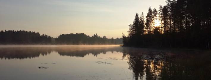 Huvudbild på projektet