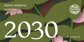 Huvudbild på projektet