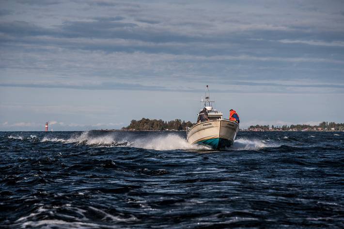 Huvudbild på projektet