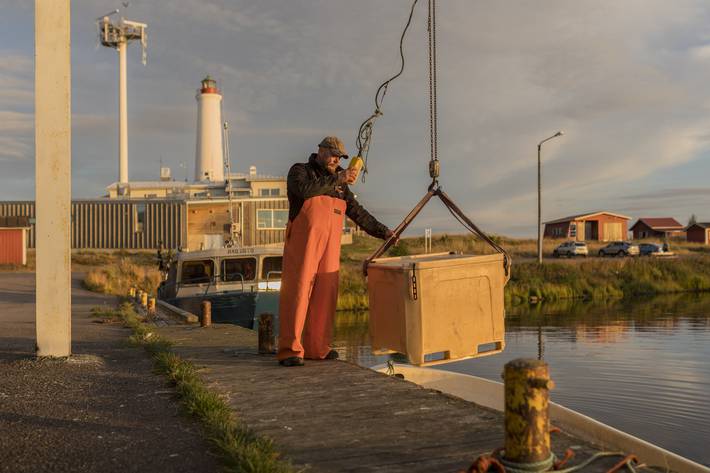 Huvudbild på projektet
