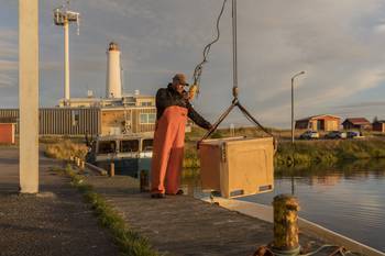 Huvudbild på projektet