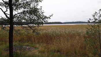 Näkymä rantaraitin alueelta merelle päin