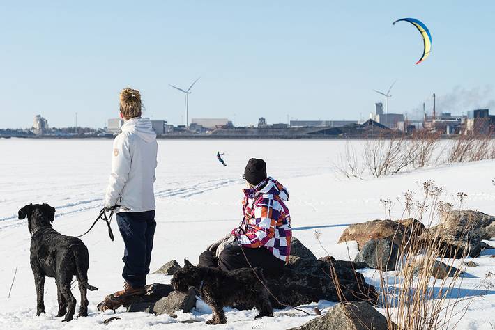Ihmisiä ja koiria jäällä ulkoilemassa kevättalvella aurinkoisena päivänä, taustalla Outokummun terästehdas.