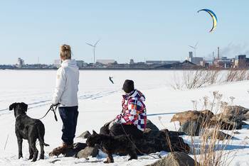 Ihmisiä ja koiria jäällä ulkoilemassa kevättalvella aurinkoisena päivänä, taustalla Outokummun terästehdas.