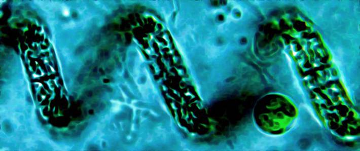 Huvudbild på projektet