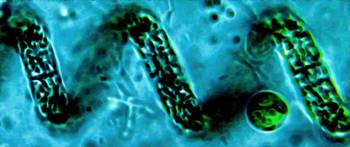 Huvudbild på projektet