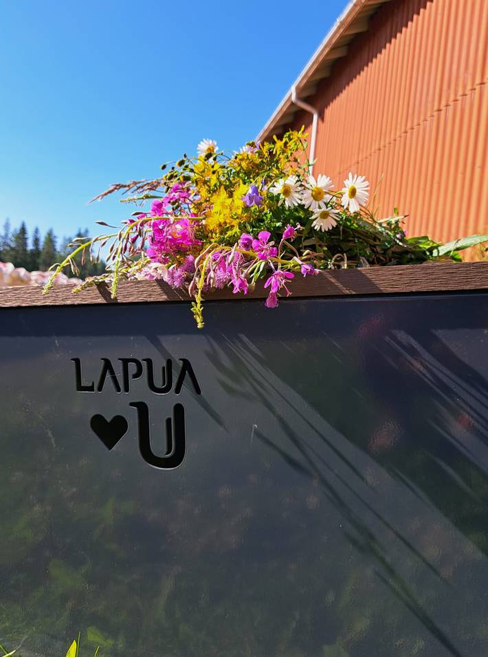 Huvudbild på projektet