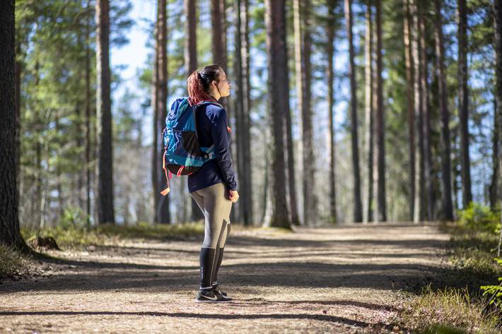 Kuva Mannilan männikössä olevasta retkeilijästä.
